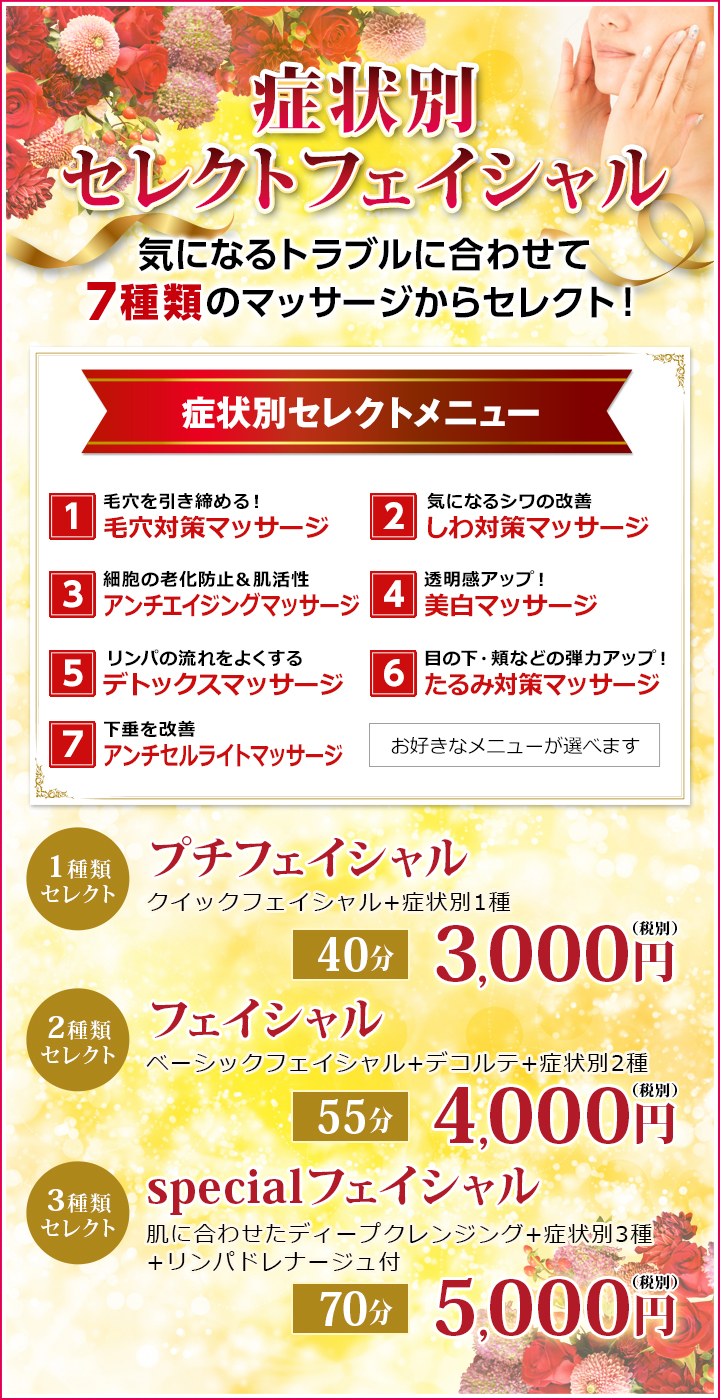 症状別セレクトフェイシャル